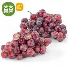 智利有籽红提 2斤 新鲜进口水果有籽提子进口葡萄
