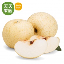 苹果梨 5斤 新鲜水果国产梨