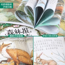 华阳 森林报故事绘本全套12册 儿童正版书籍读物小学生儿童文学